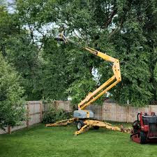 Best Palm Tree Trimming  in Red Corral, CA